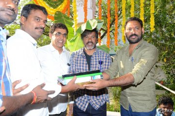 Nenu Naa Boy Friends Movie Opening
